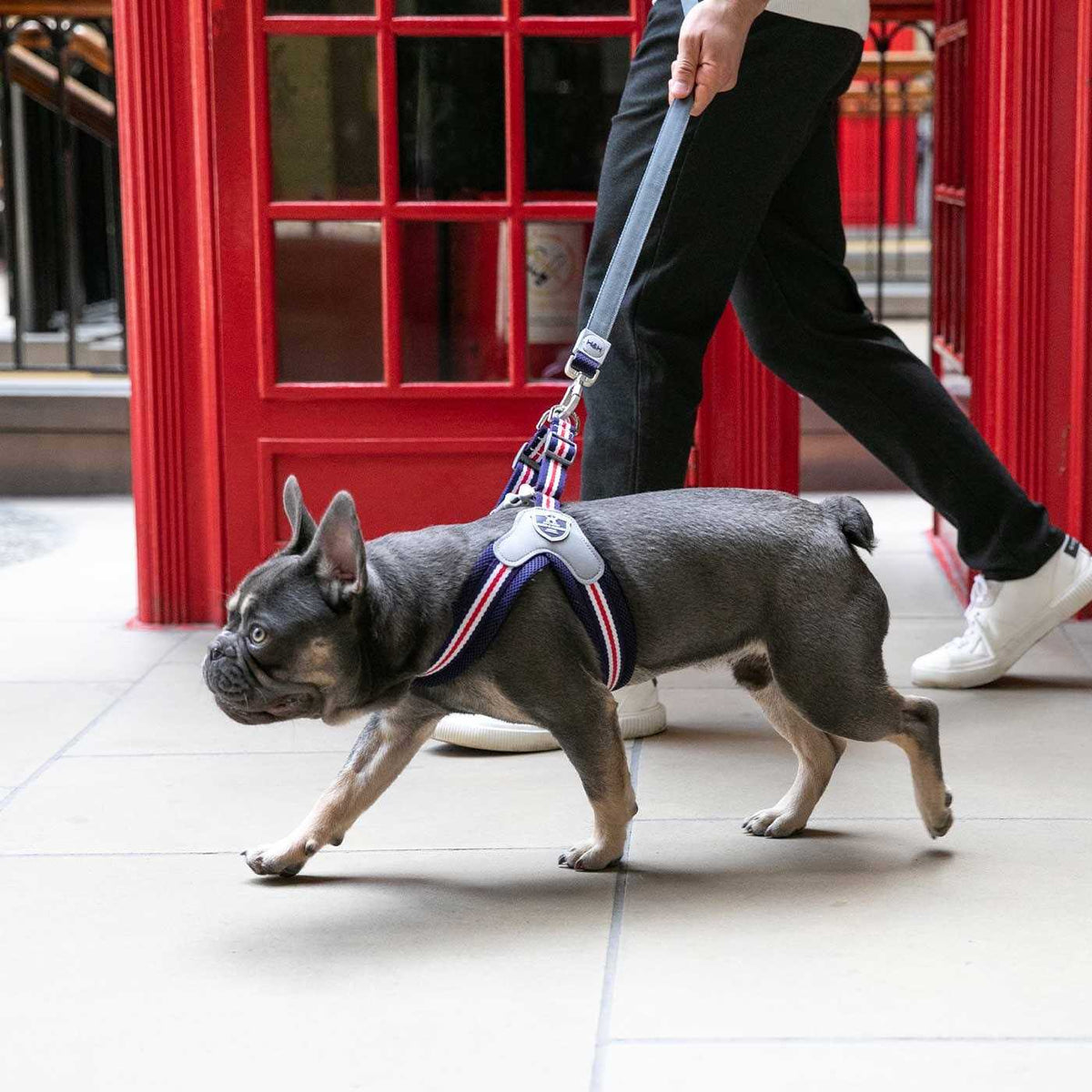 Dog Harness X9182