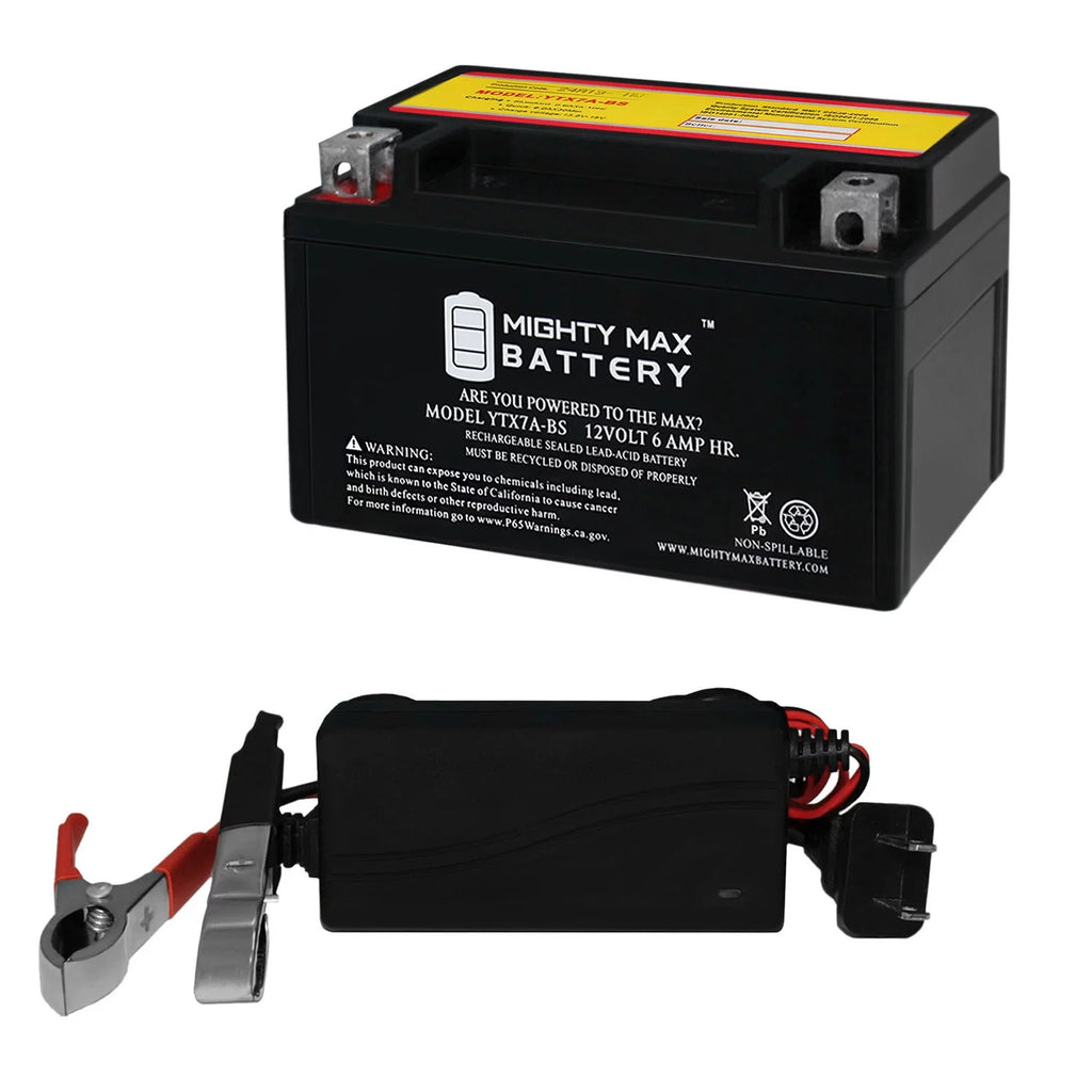12V Replacement Battery with Charger C475