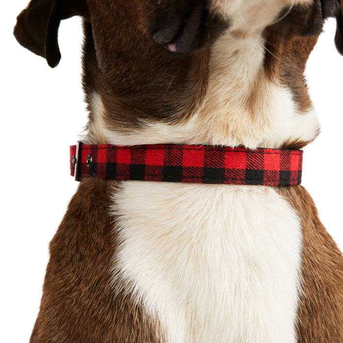 Buffalo Checkered Dog Collar V908977