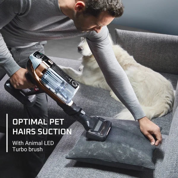 Cordless Stick Vacuum Cleaner D204