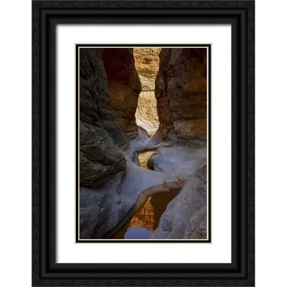 Black Ornate Wood Framed Art Print C1702