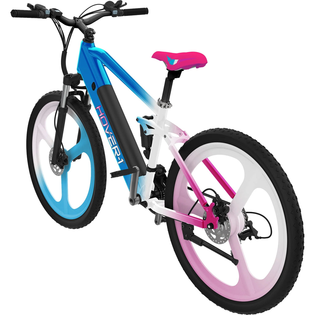 Black Electric Bicycle with 350W Motor F149