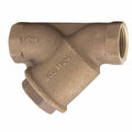 2-1/2 in. Threaded Y Strainer Valve with Tapped Retainer Cap P1727