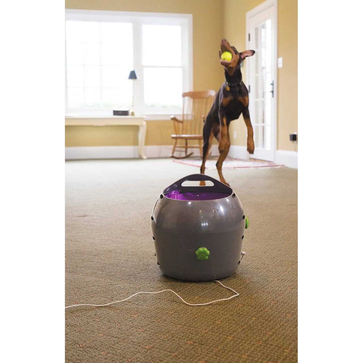 Automatic Ball Launcher Dog Toy P96452