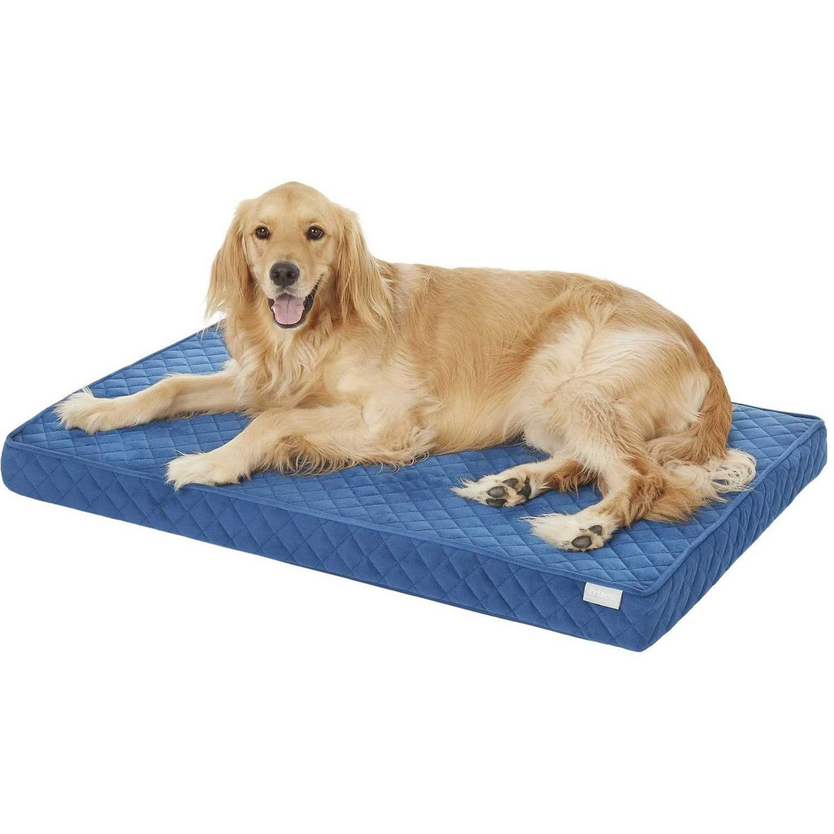 Quilted Orthopedic Cat Dog Bed with Removable Cover M97893