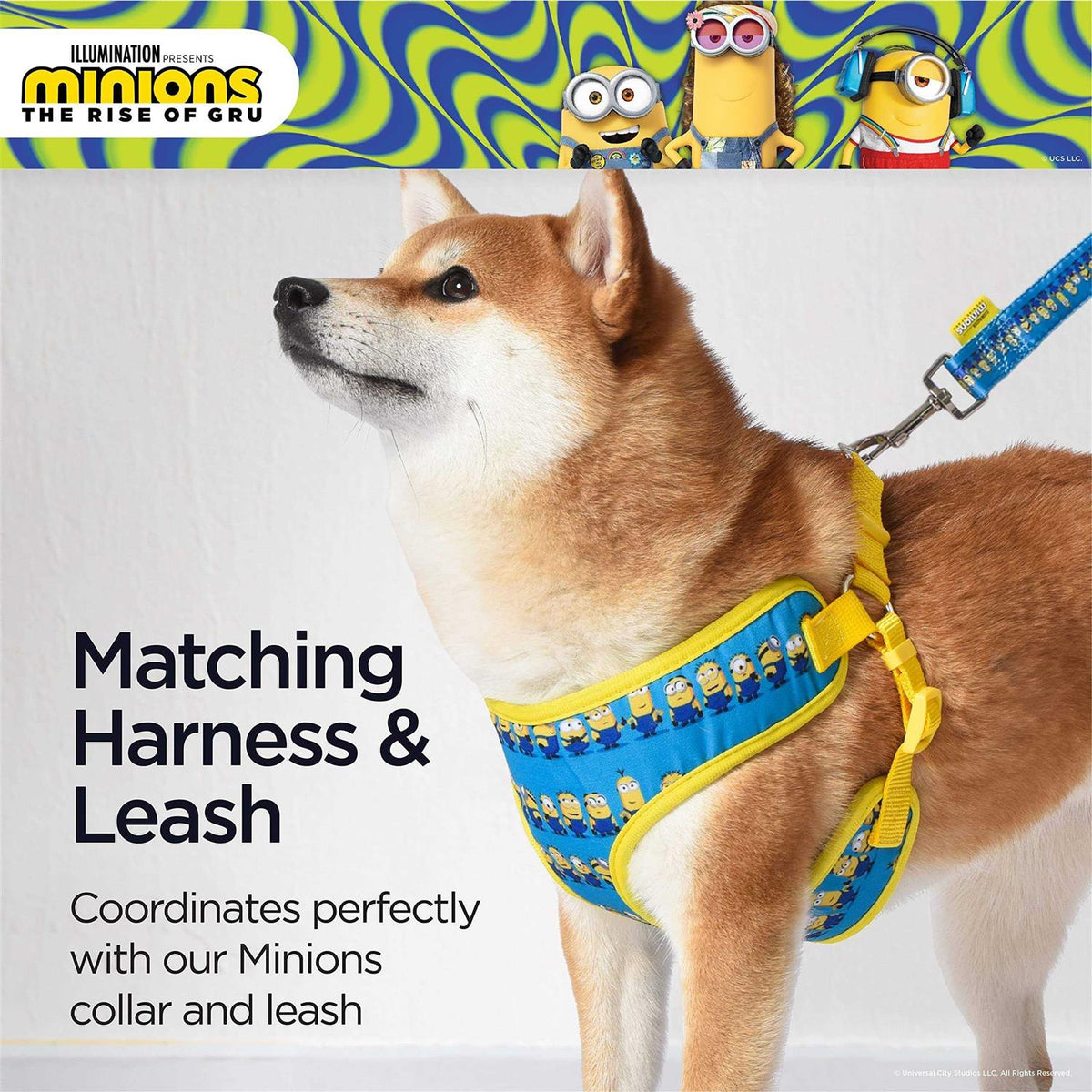 Blue Mesh No-Pull Dog Harness W908450