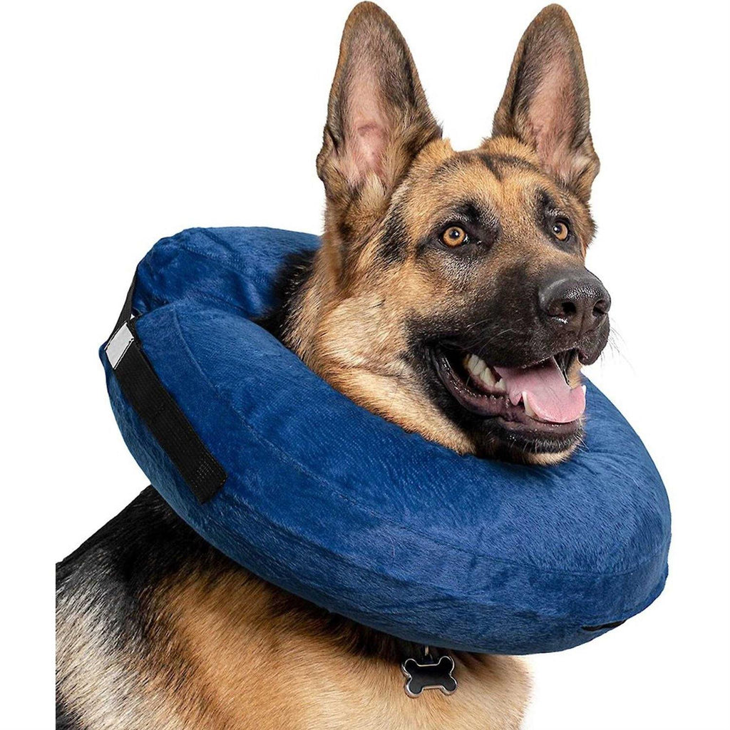 Inflatable Collar C43778