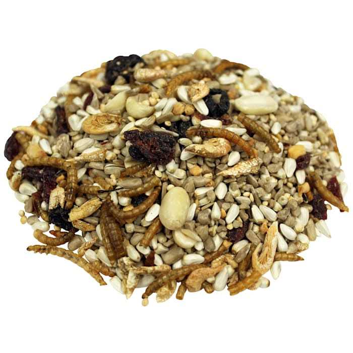 Nuts Pet Supplies B593167