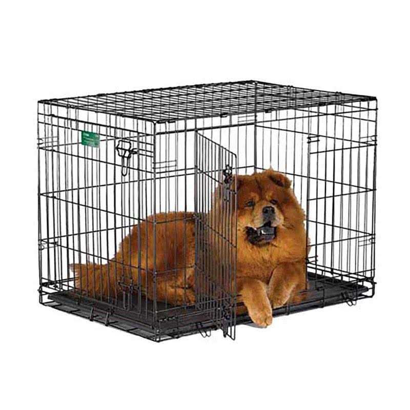Double Door Fold Carry Dog Crate O622961