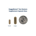 30 Capsules Supplement Y4484