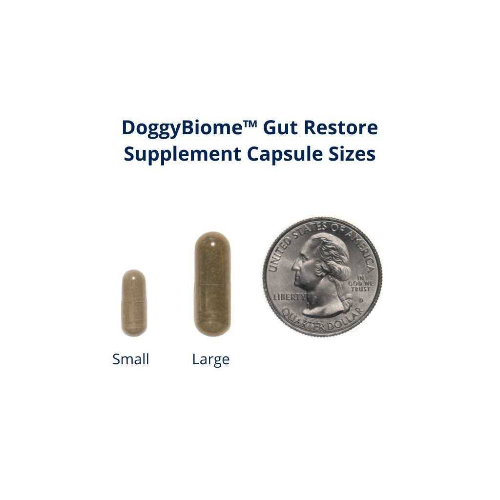 30 Capsules Supplement Y4484