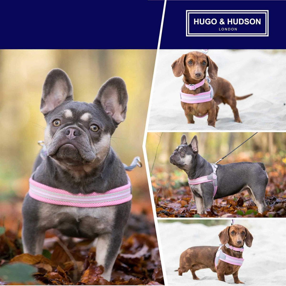 Dog Harness X9182