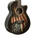 Acoustic-Electric Guitar Q24435