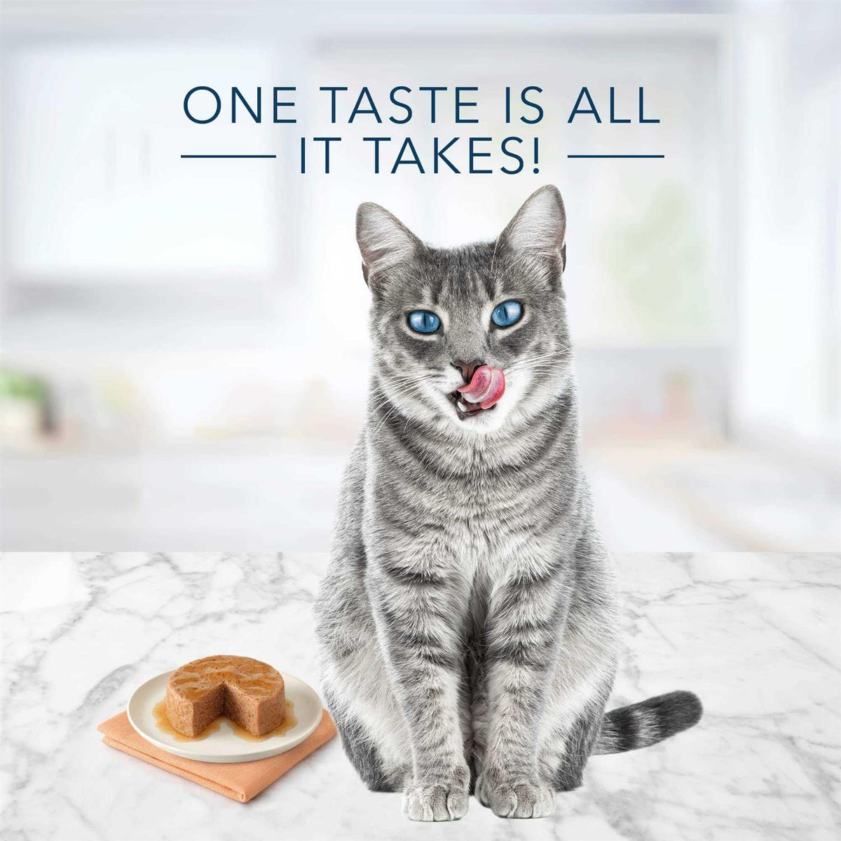 Wet Cat Food Variety A167