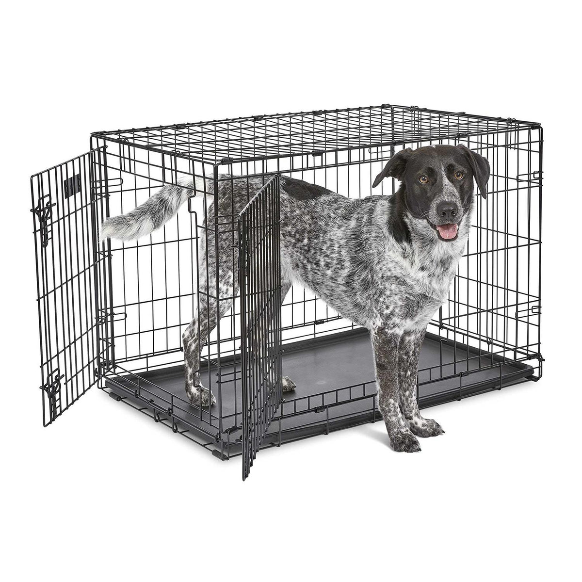 Double Door Fold Carry Dog Crate O622961