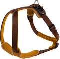 Neopren Nylon Harness Brown/Caramel 25mm x 73-94cm N683987