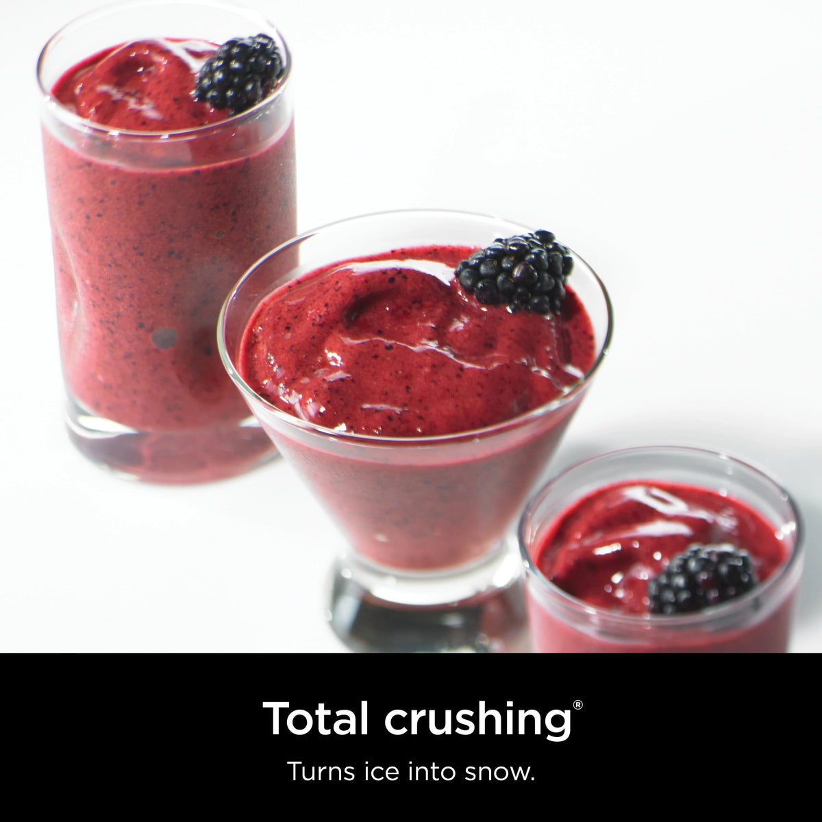 Blender and Food Processor Q677