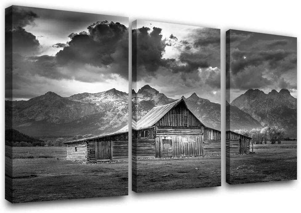 Framed Canvas Landscape Artwork Pack of 2 Y163740