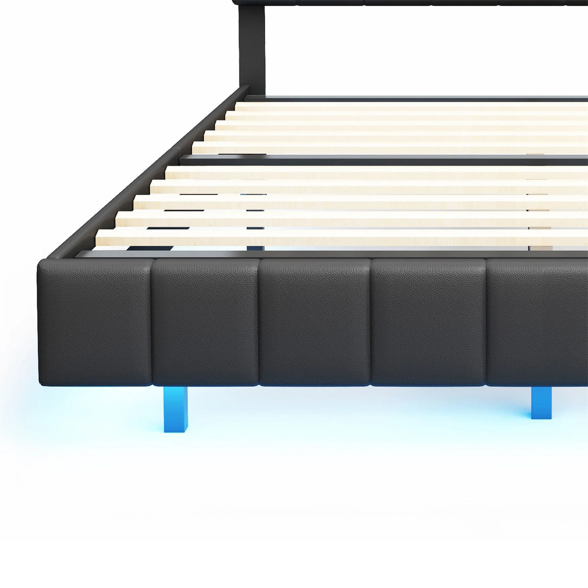 Queen Size Floating Bed Frame with LED Lights and USB Charging Black C638190