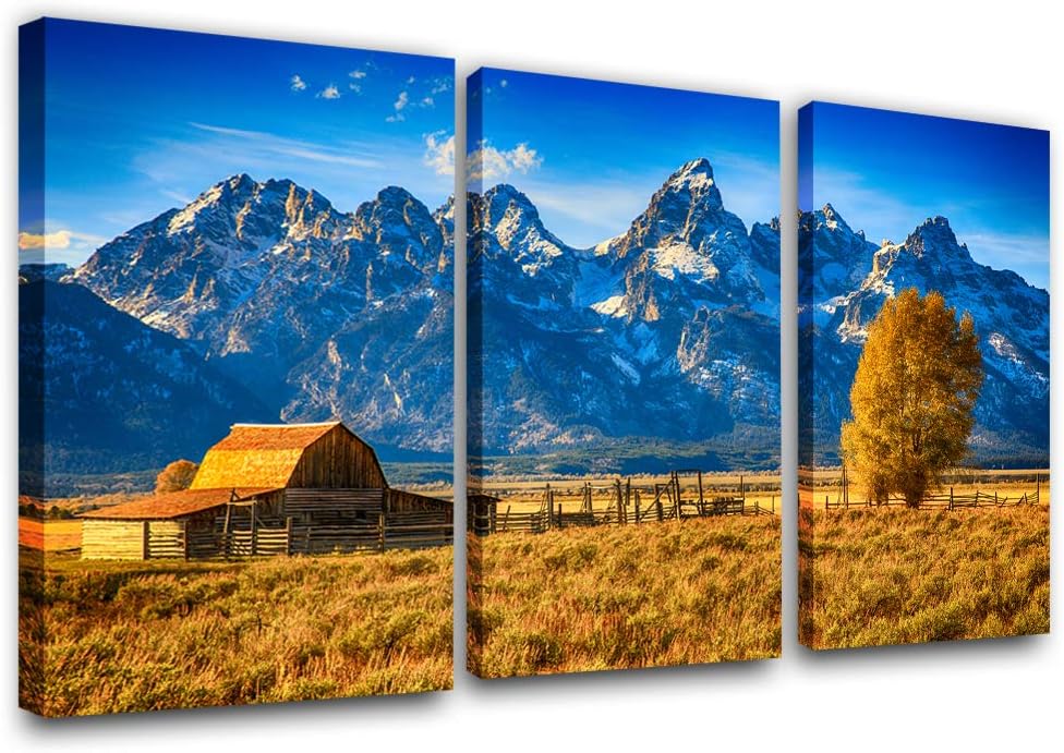 Framed Canvas Landscape Artwork Pack of 2 Y163740