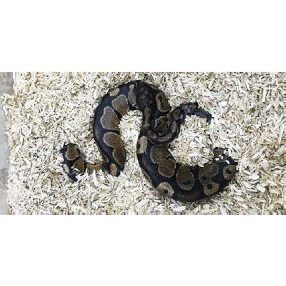 Hemp Small Animal Bedding T31269