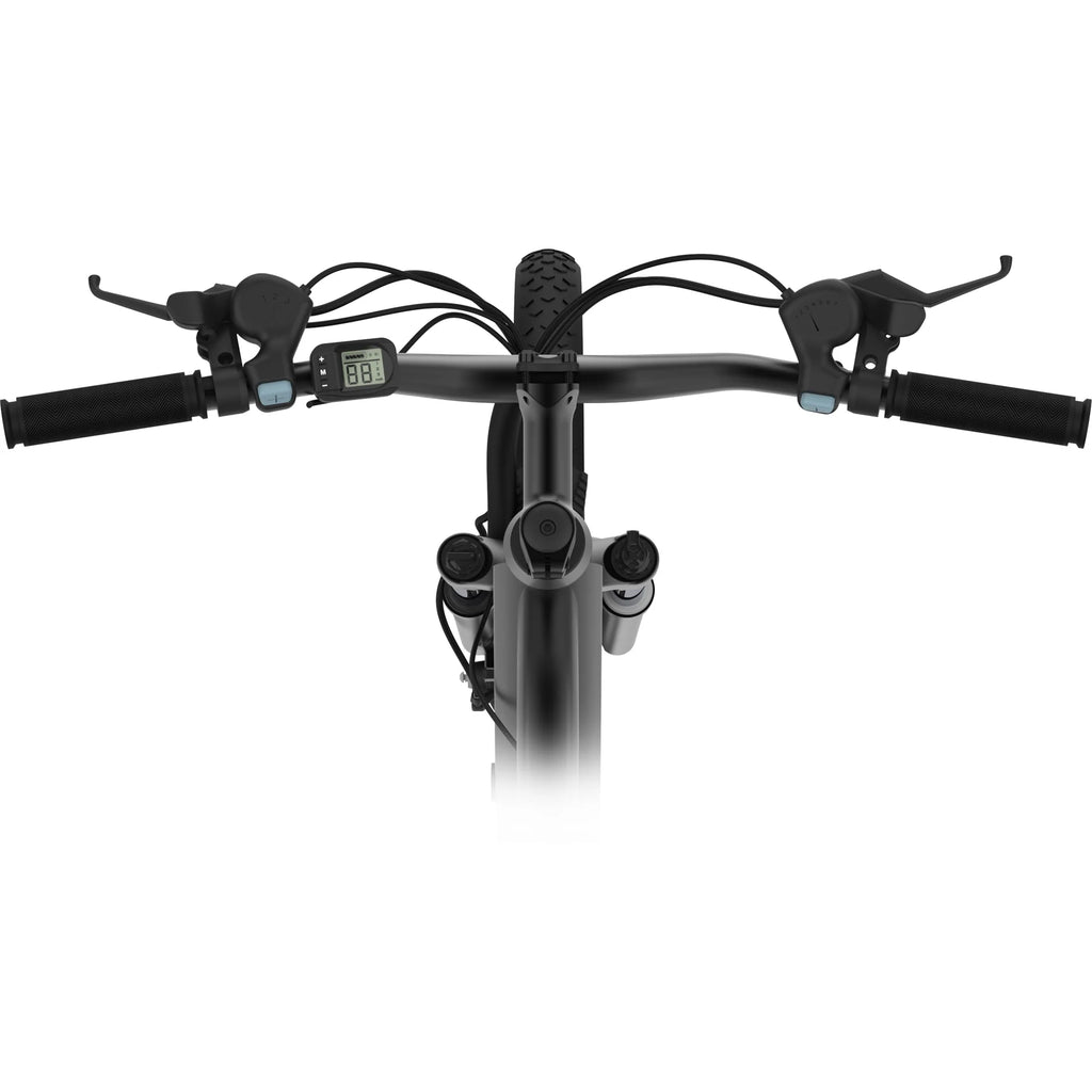 Black Electric Bicycle with 350W Motor F149