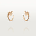 Earrings F364747