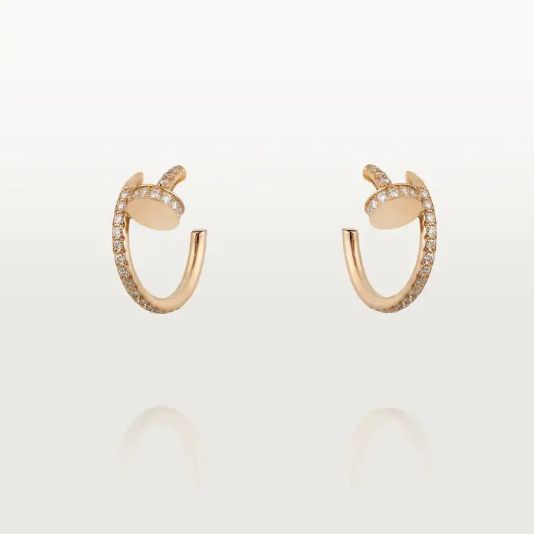 Earrings F364747