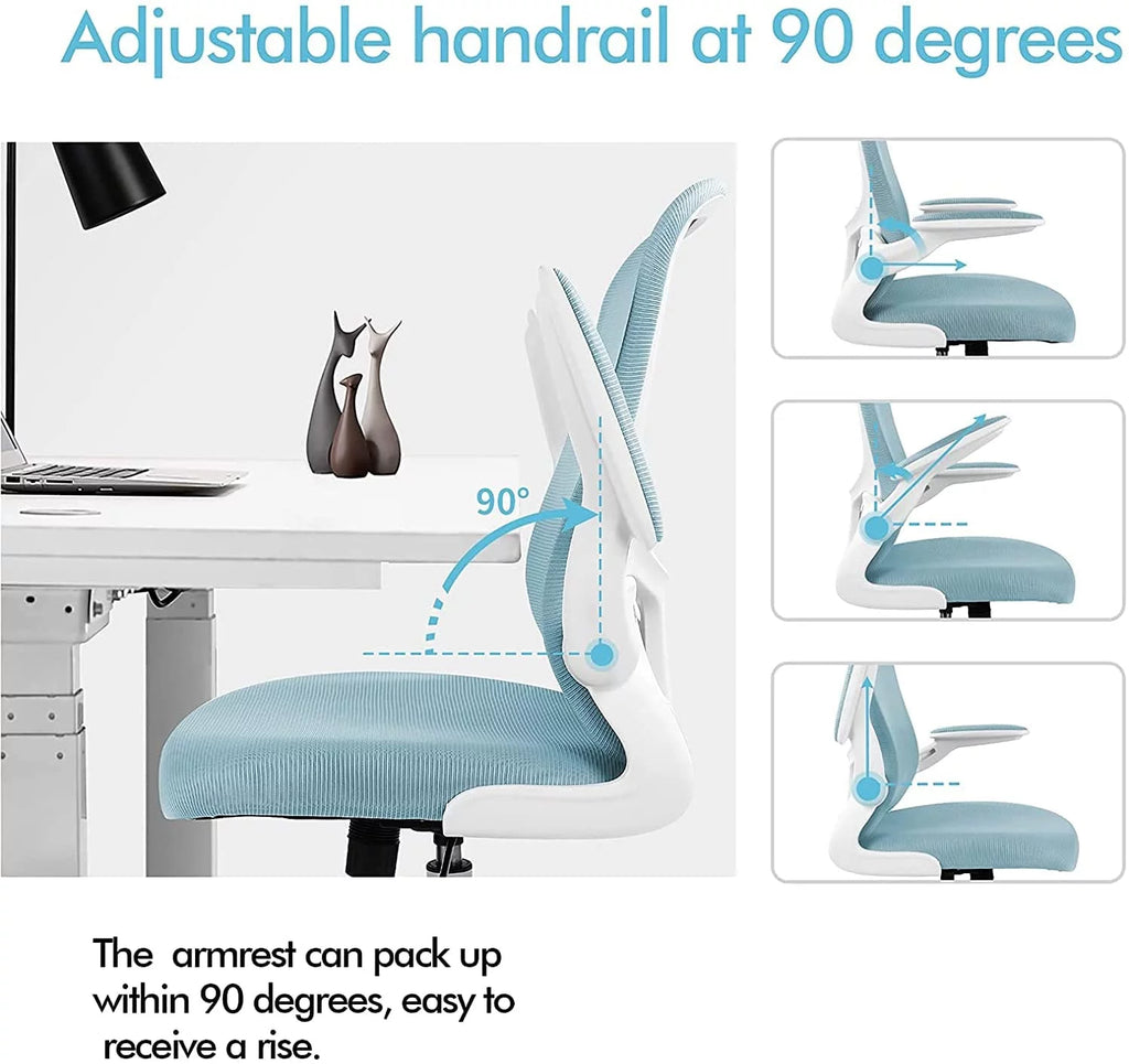 Black Ergonomic Office Chair with Lumbar Support G465974