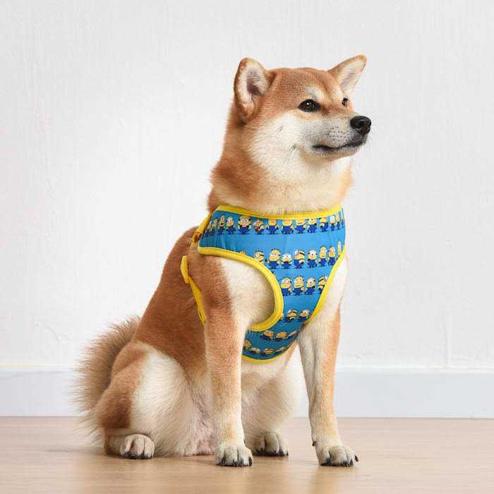 Blue Mesh No-Pull Dog Harness W908450