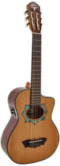 Acoustic Electric Guitar N21173