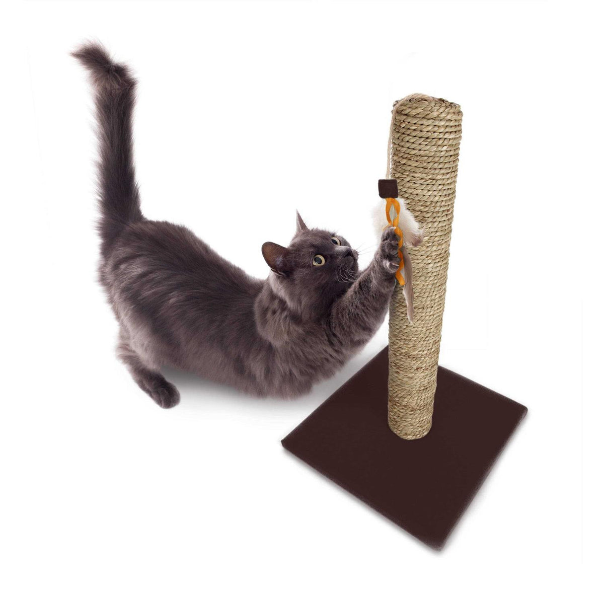 Simply Scratch Post with Feather Toy G5069