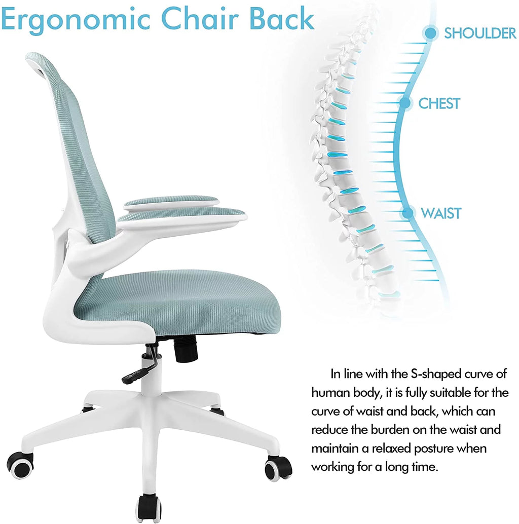 Black Ergonomic Office Chair with Lumbar Support G465974