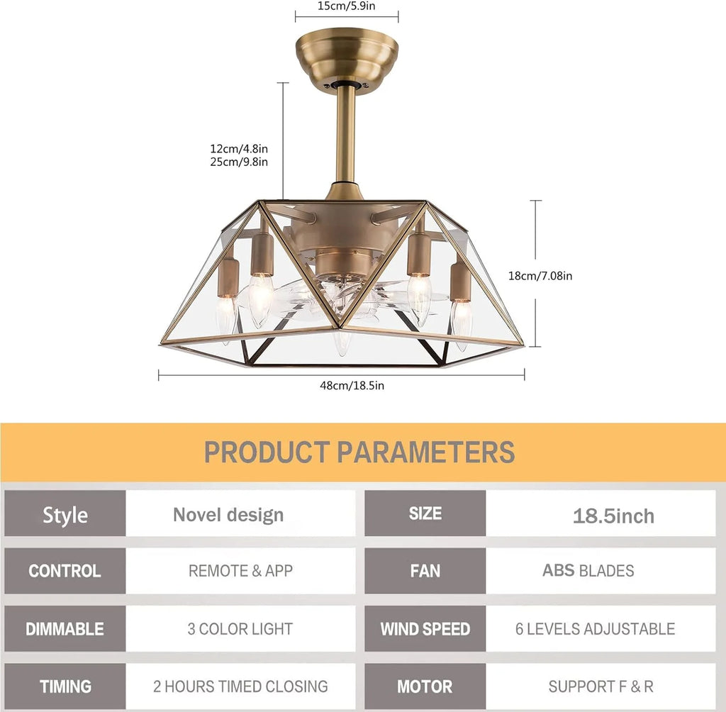 18.5'' Caged Ceiling Fan with Lights Remote Control I455