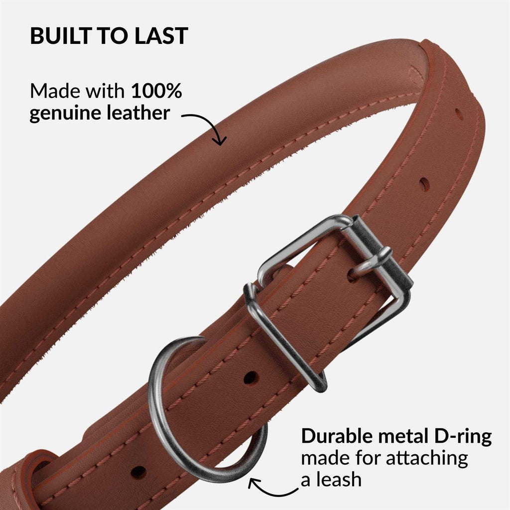Rolled Leather Dog Collar V91064