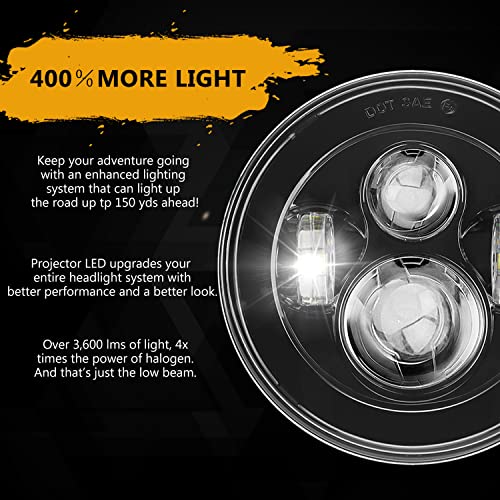 7 Inch Headlight Fog Lights Combo C48103
