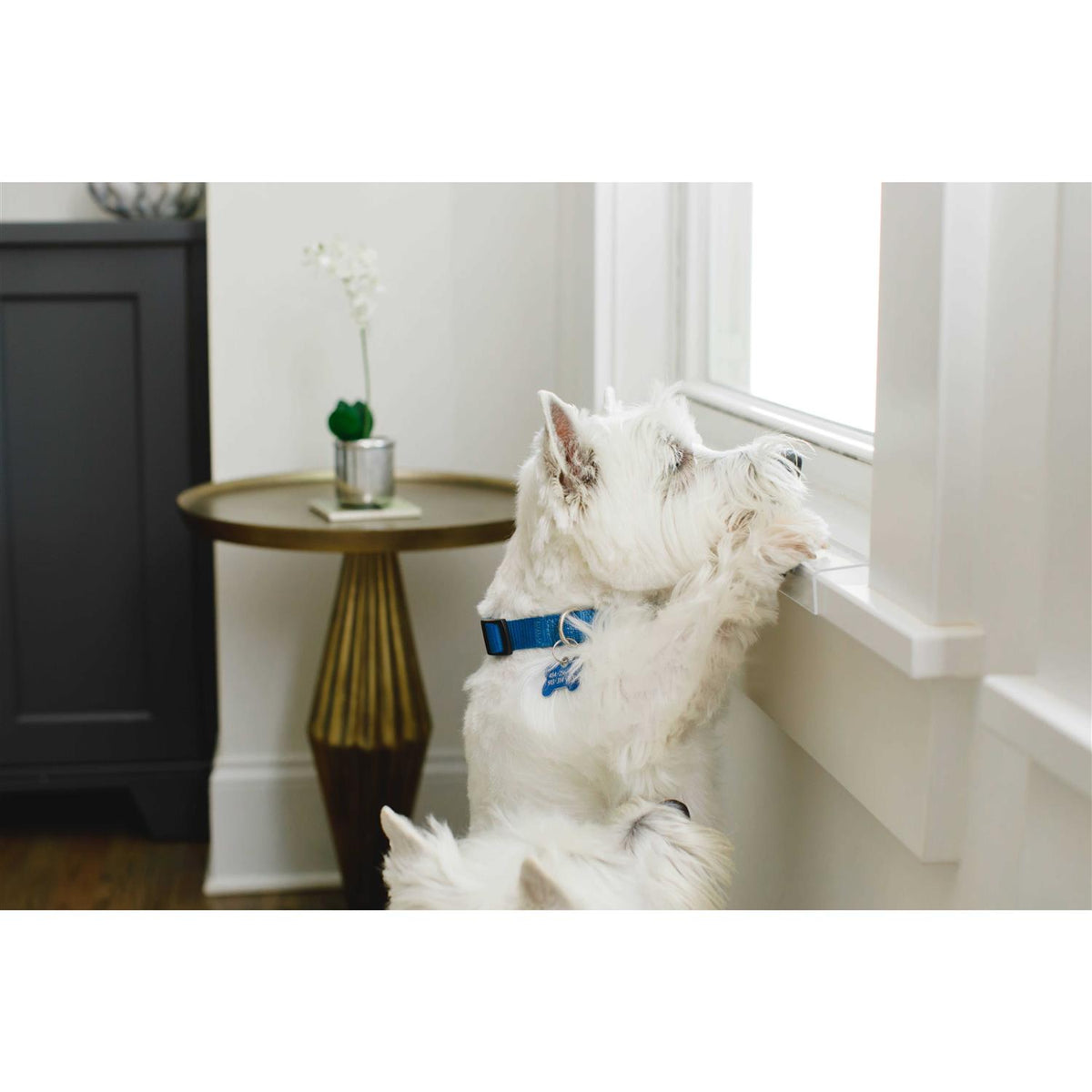 Window Sill Protector Transparent X2128