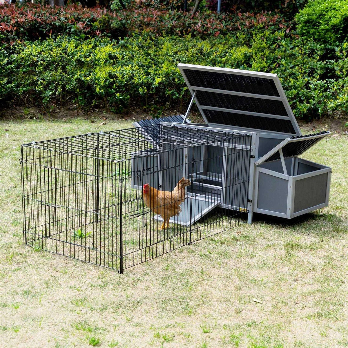 Outdoor Wooden Chicken Coop with Waterproof Roof R71212