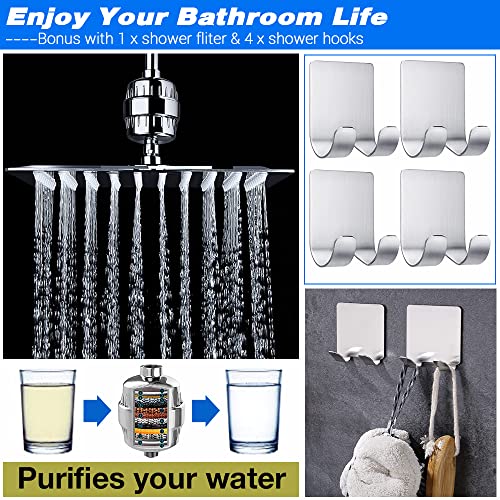 12" Rain Shower Head with Handheld Spray Combo F79013