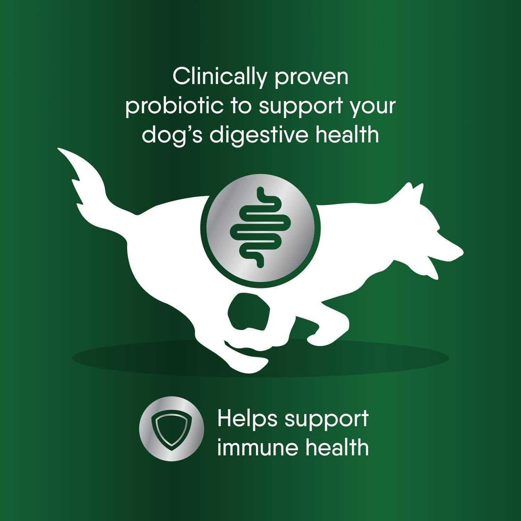Probiotic Supplement Powder for Dogs C6548