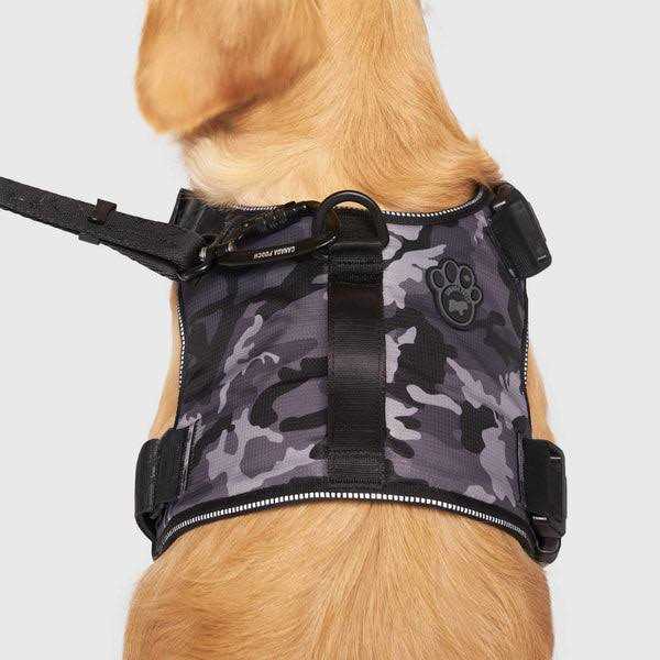 Complete Control Dog Harness O297106