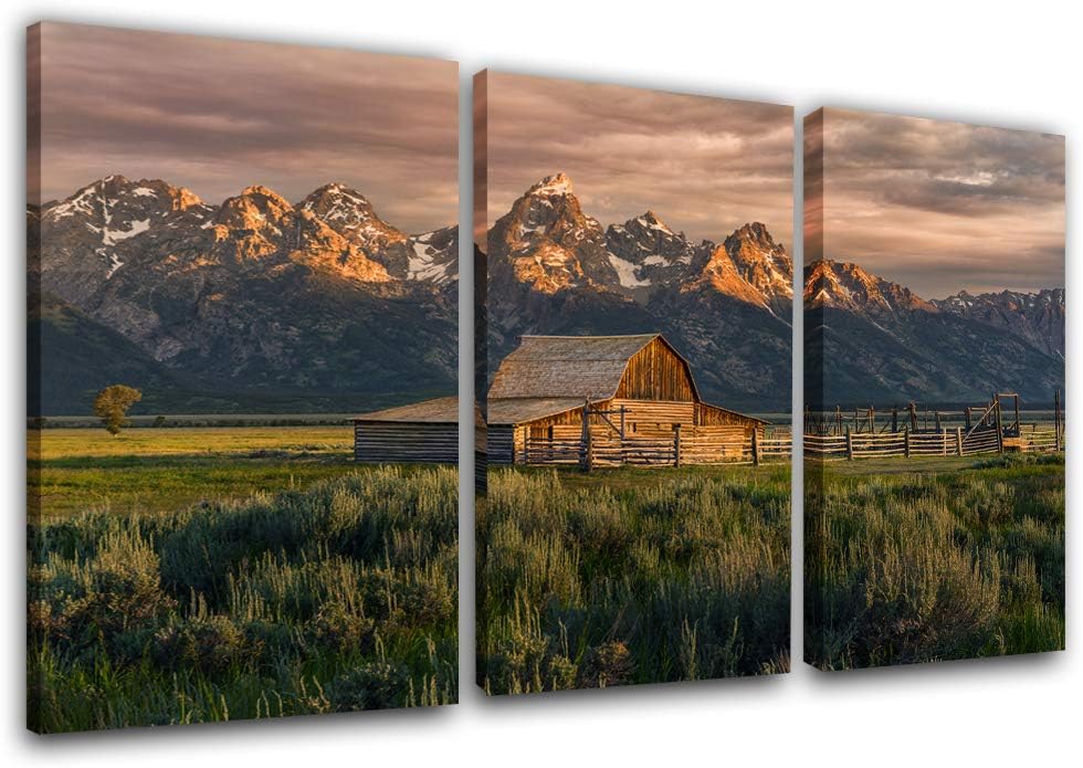 Framed Canvas Landscape Artwork Pack of 2 Y163740