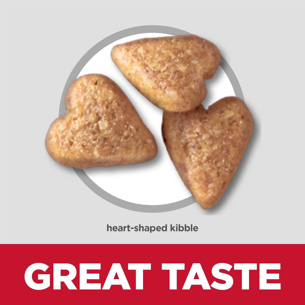Chicken Recipe Dry Dog Food R7453