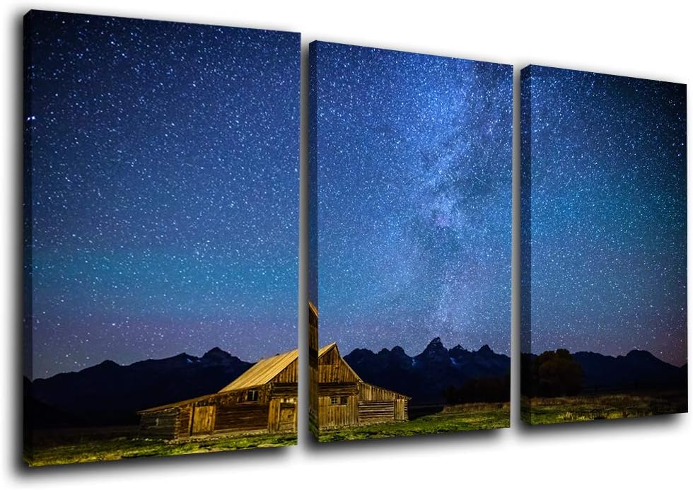 Framed Canvas Landscape Artwork Pack of 2 Y163740