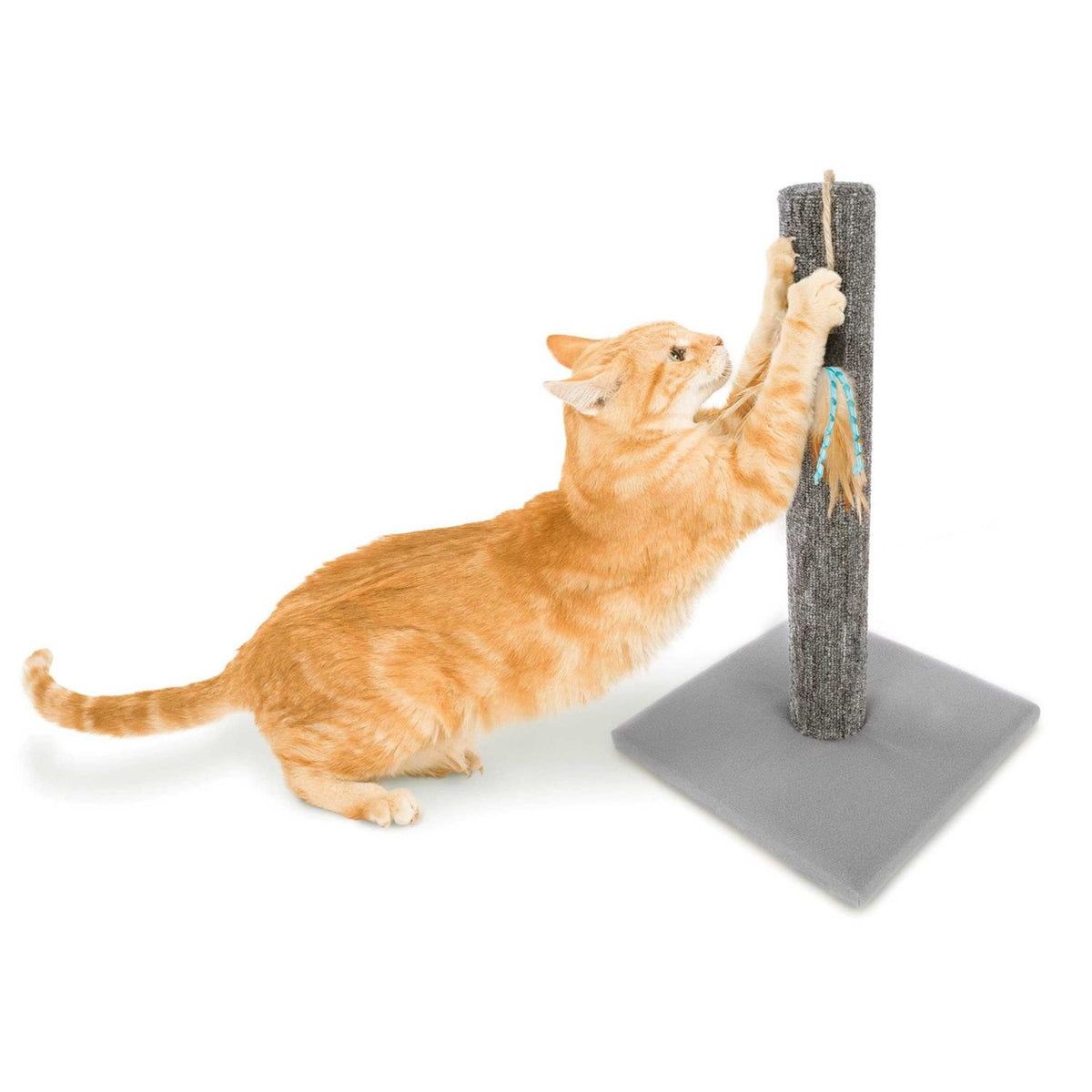 Simply Scratch Post with Feather Toy G5069