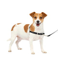 Dog Harness P622786