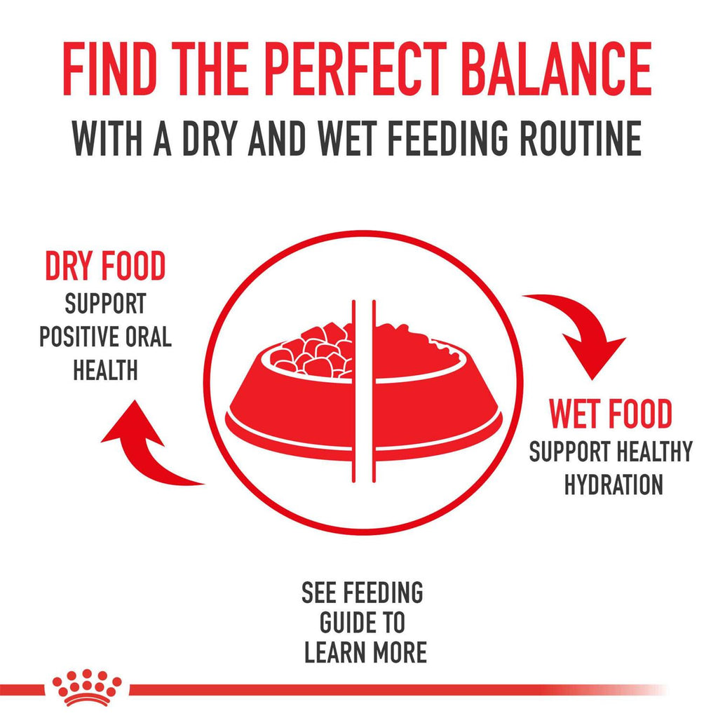 Puppy Dry Dog Food P4238