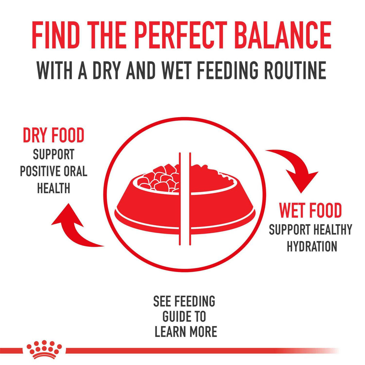 Puppy Dry Dog Food P4238