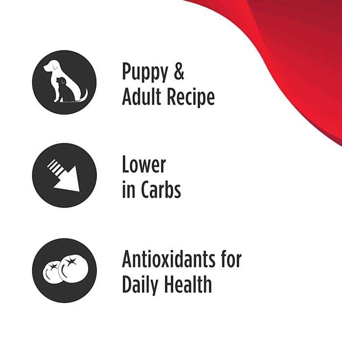 Grain Free Limited Ingredient Turkey Dog Food G994447