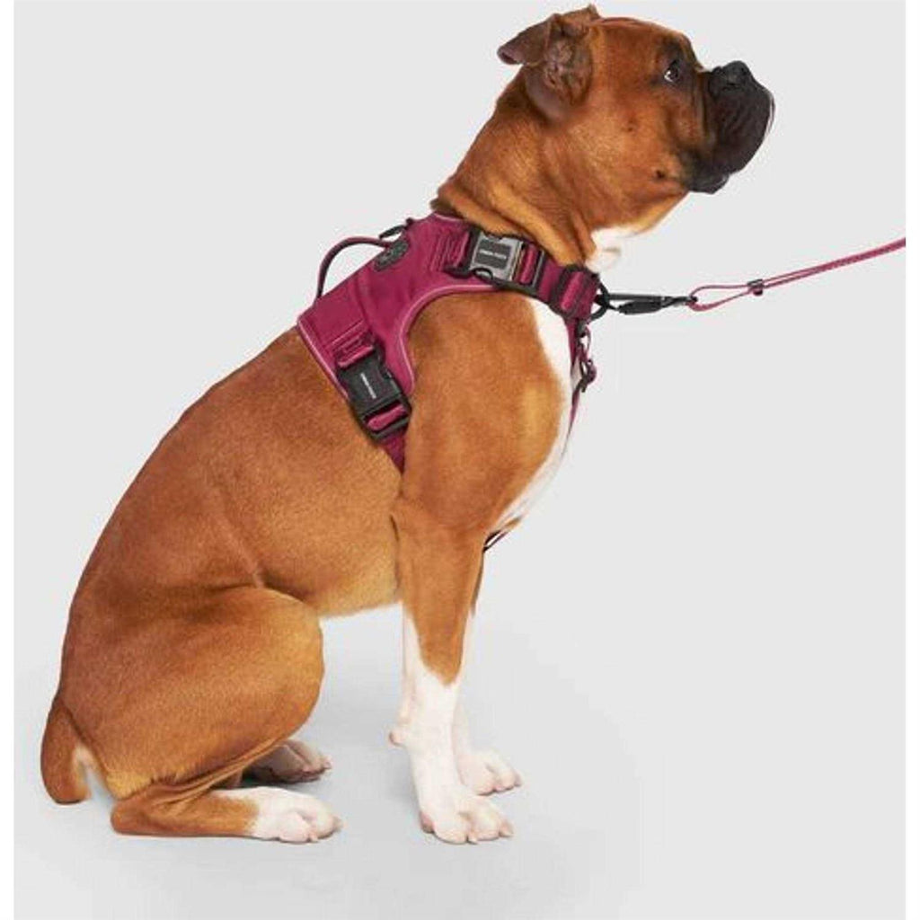 Complete Control Dog Harness O297106